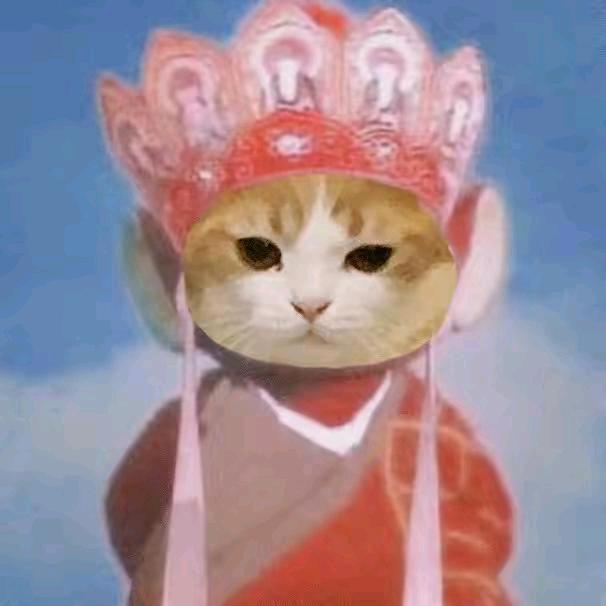 跑刀鼠王