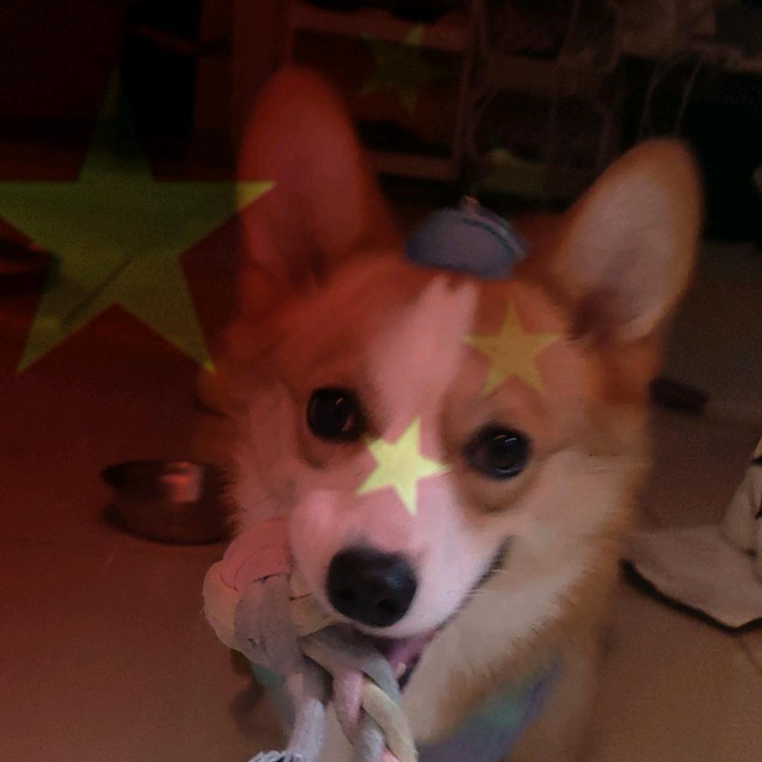 好运（一只小母基）