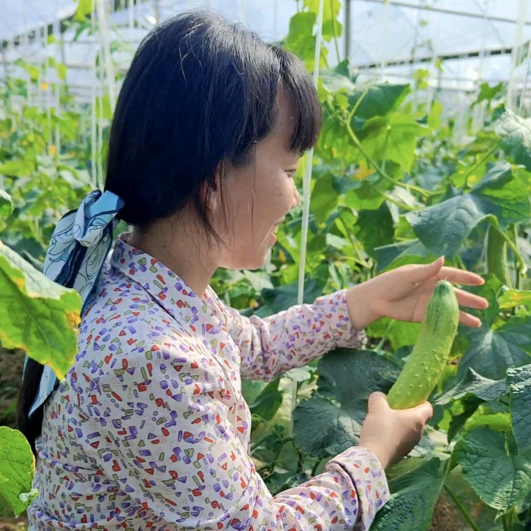 养蚕人家✨莉莉姐