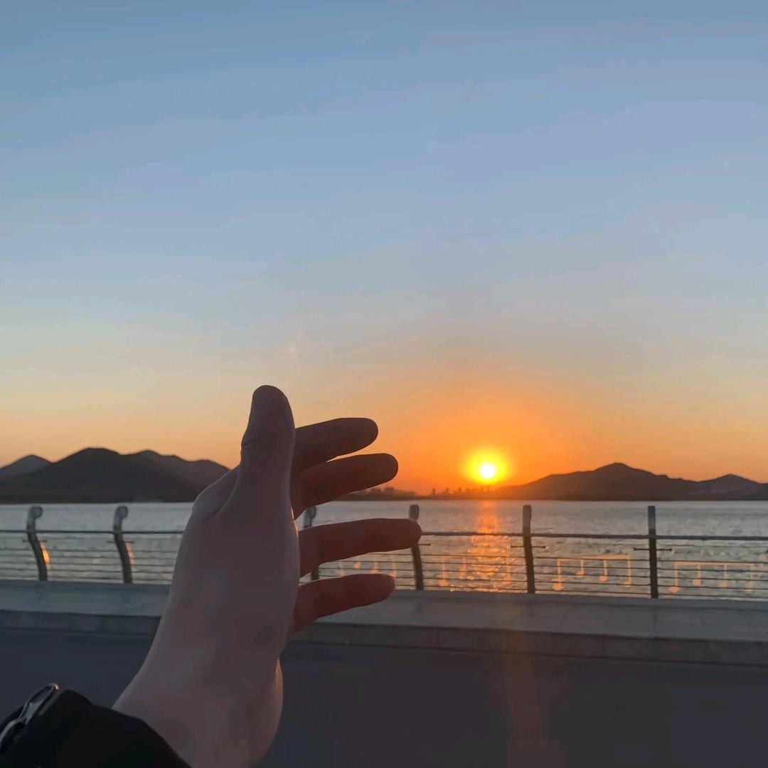 十一