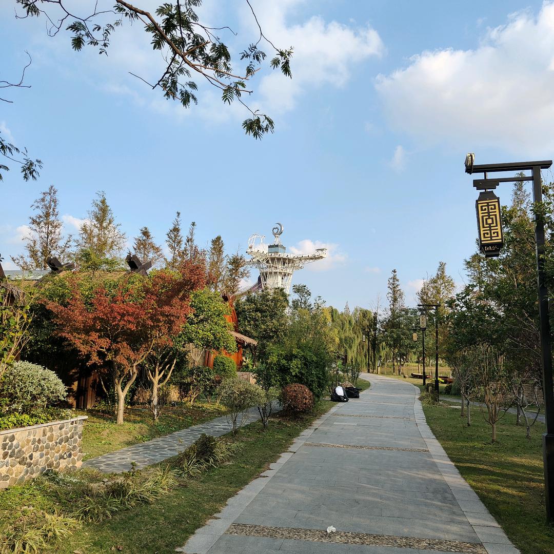 梧桐花&落雨💦