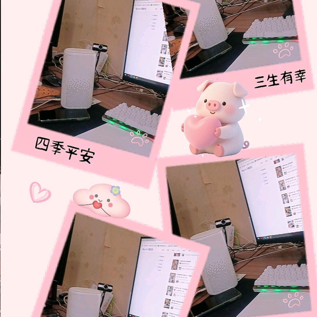 速风-泽宇