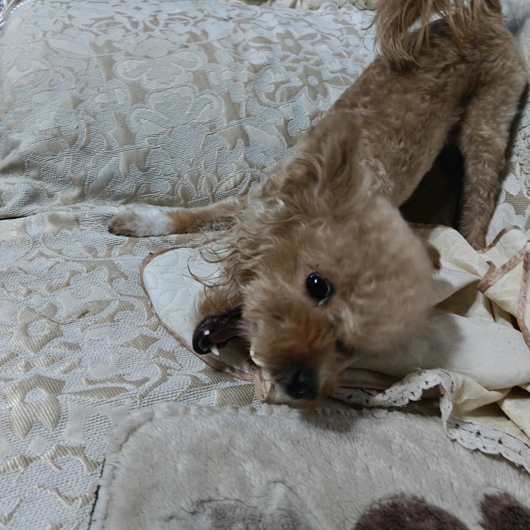 网络恶人