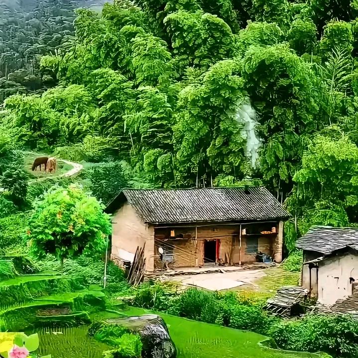 鑫远妈