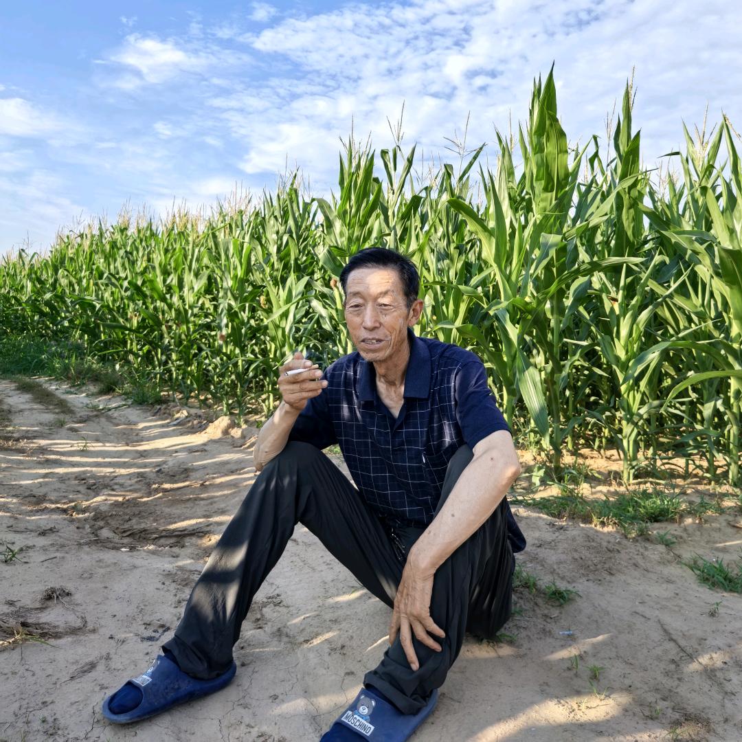 延安洛川蹩鼓张万玖