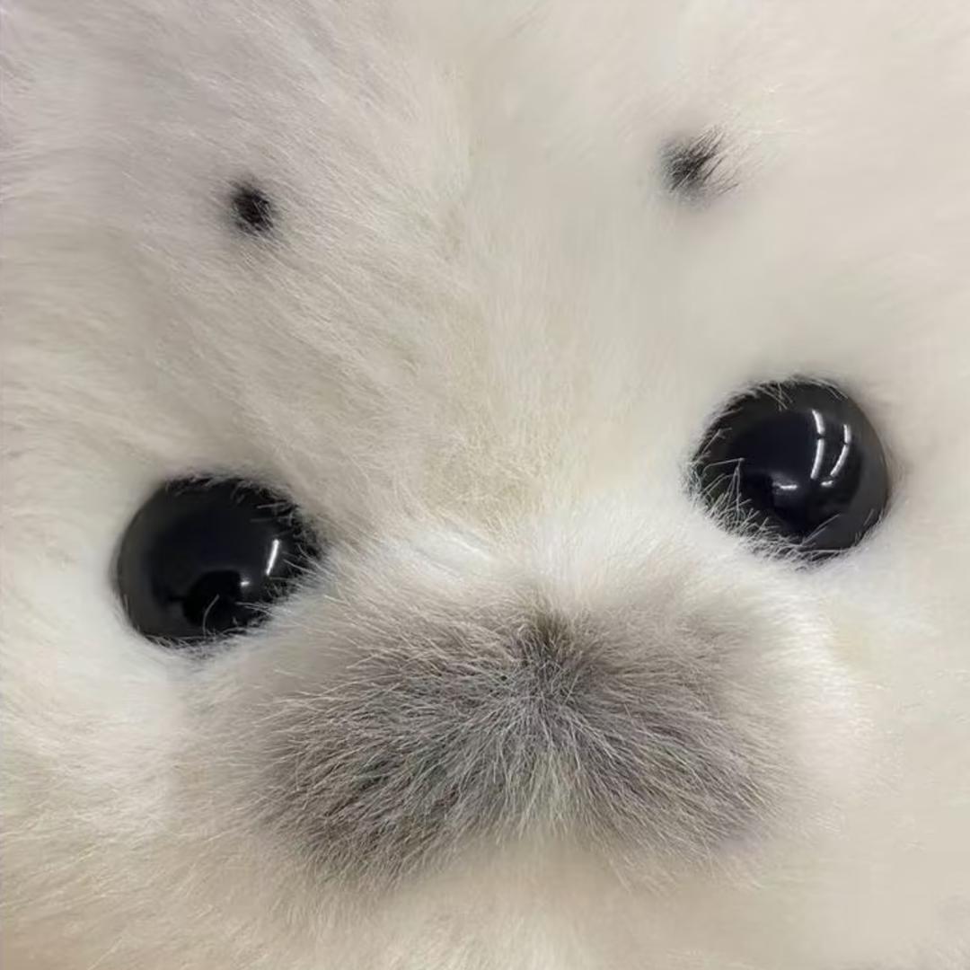 略