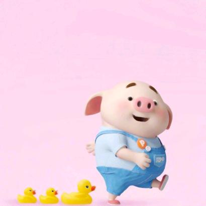 白菜爱小猪