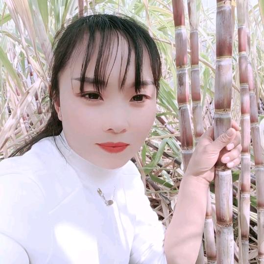 小何