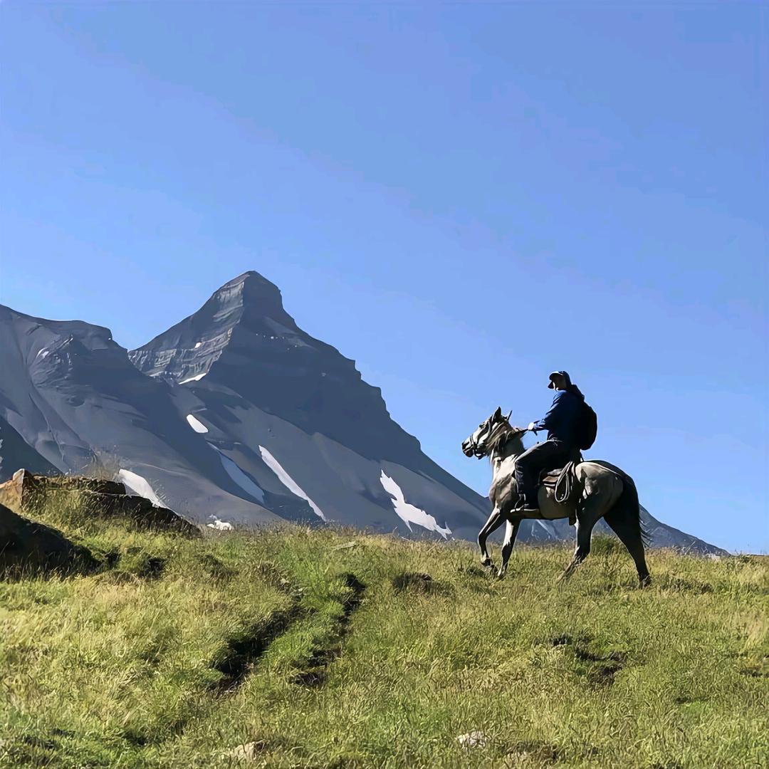 别催别催真的在学