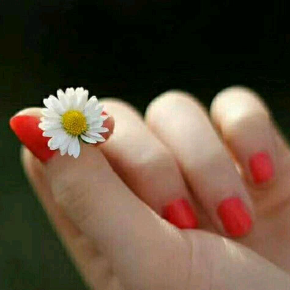 沉默也许是一种温柔……