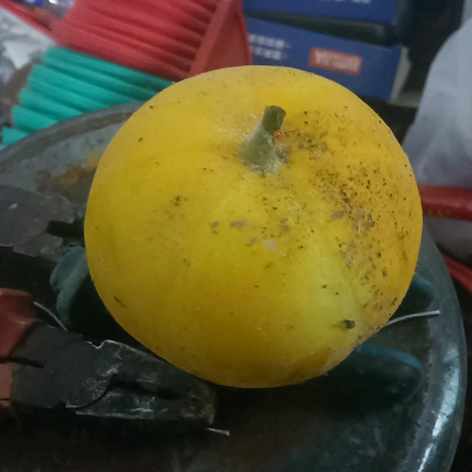 流火