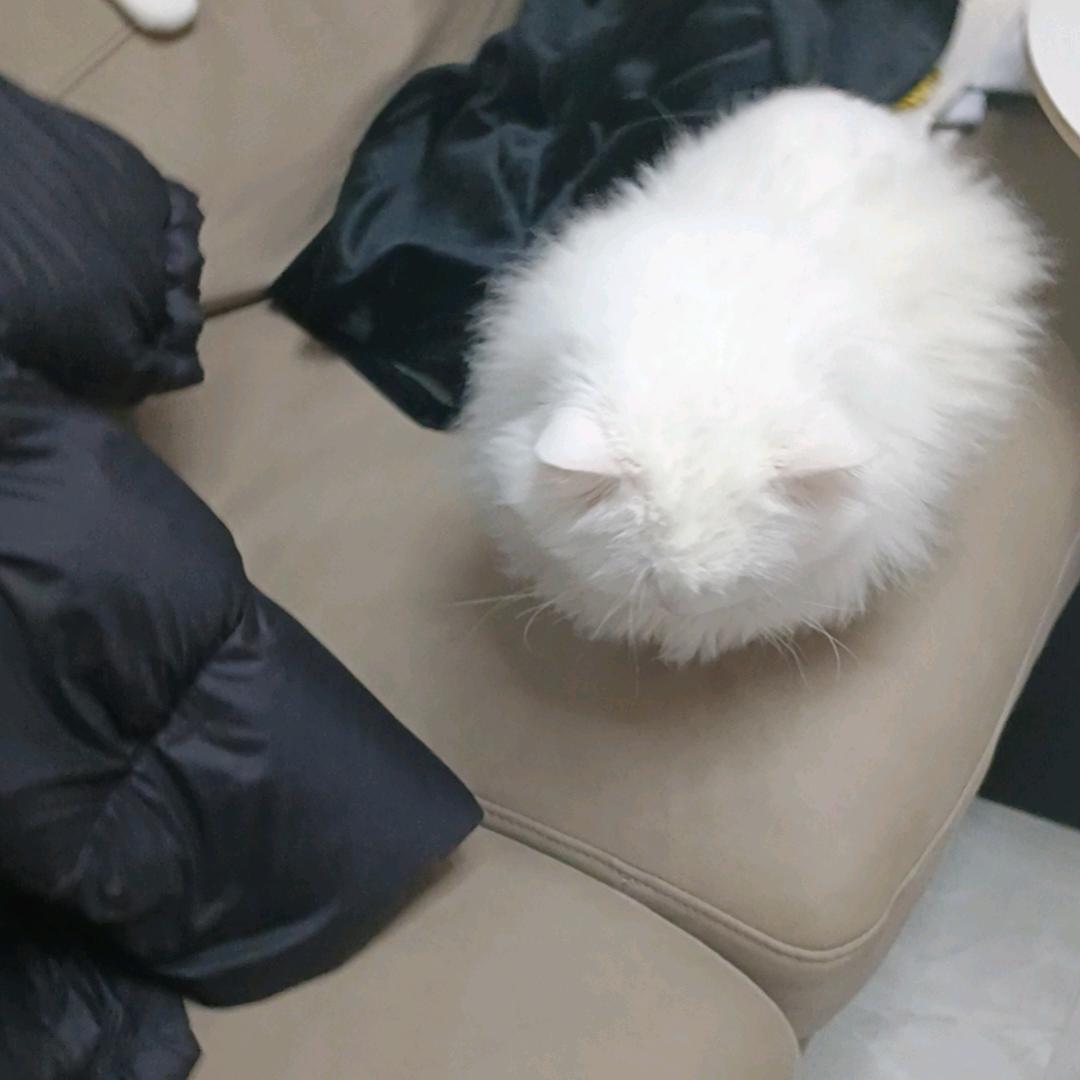 더 좋은