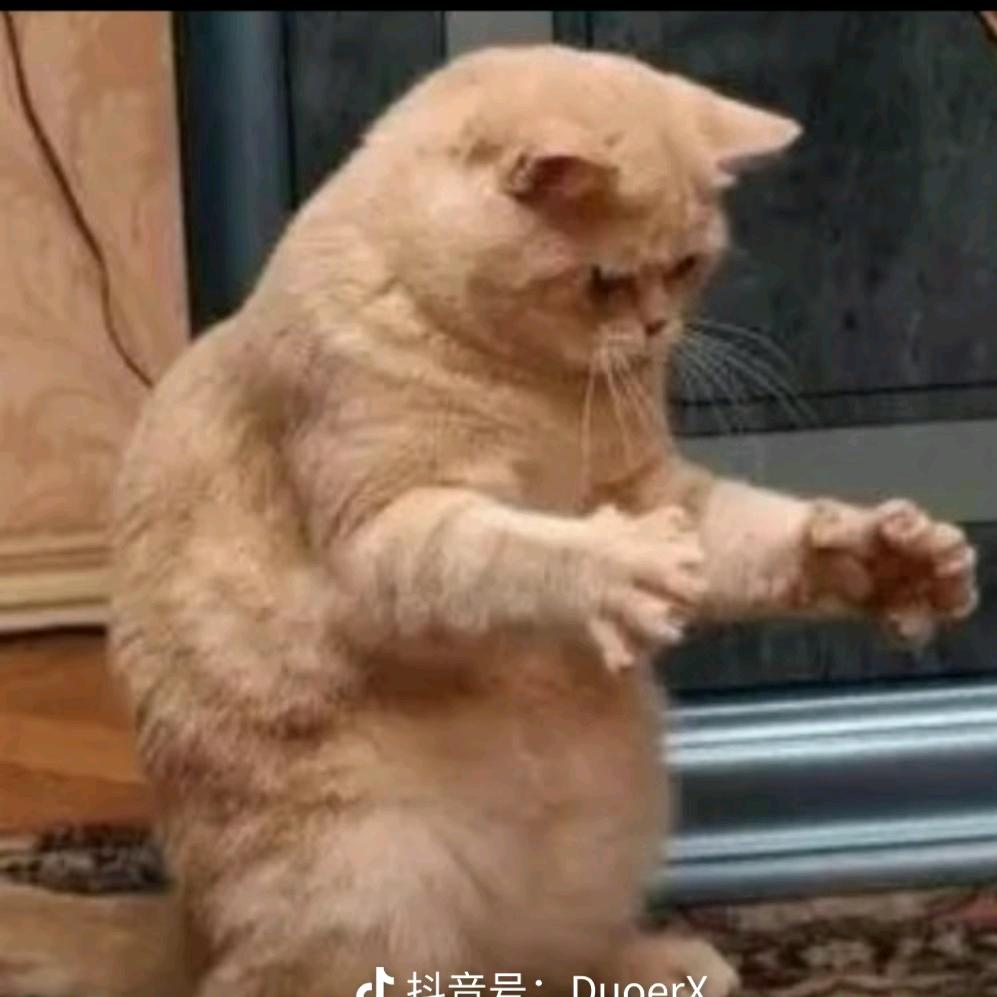无界