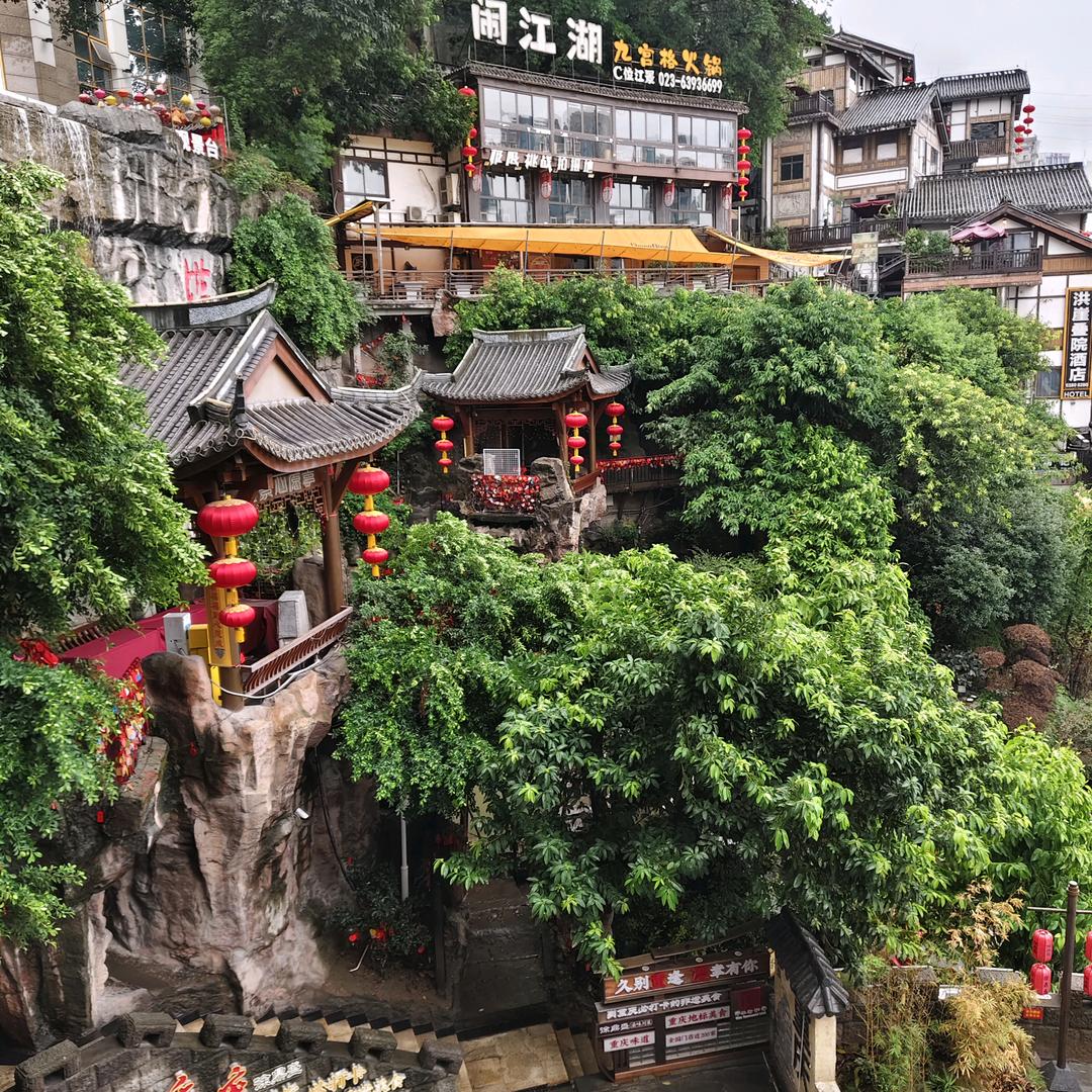 知心