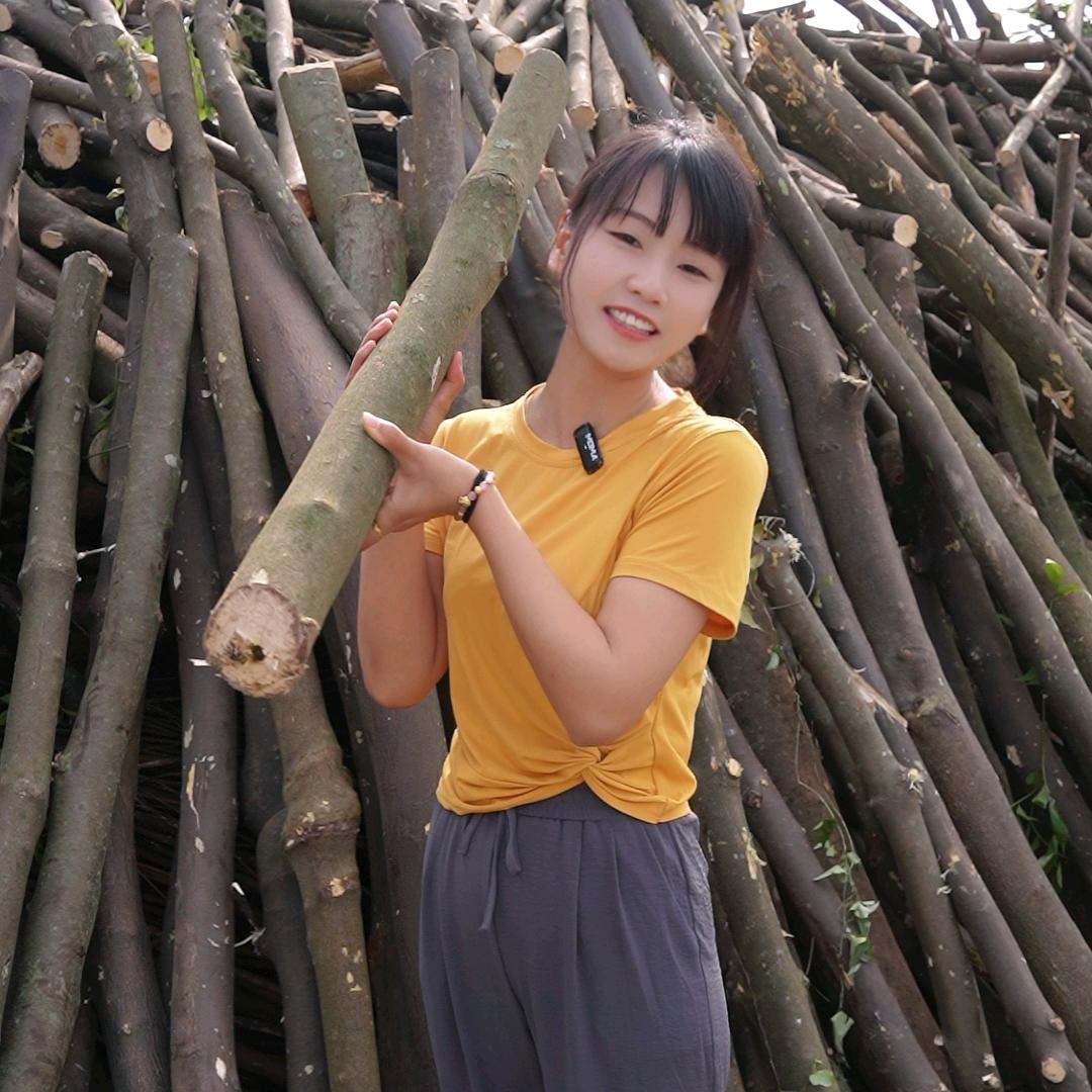 小七说药材