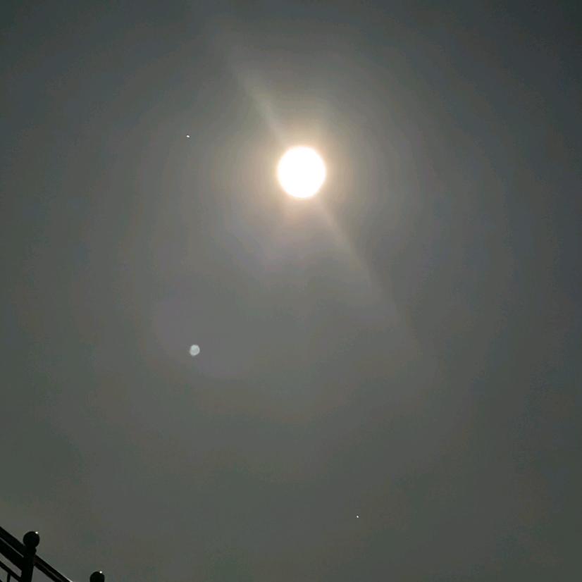 冷血