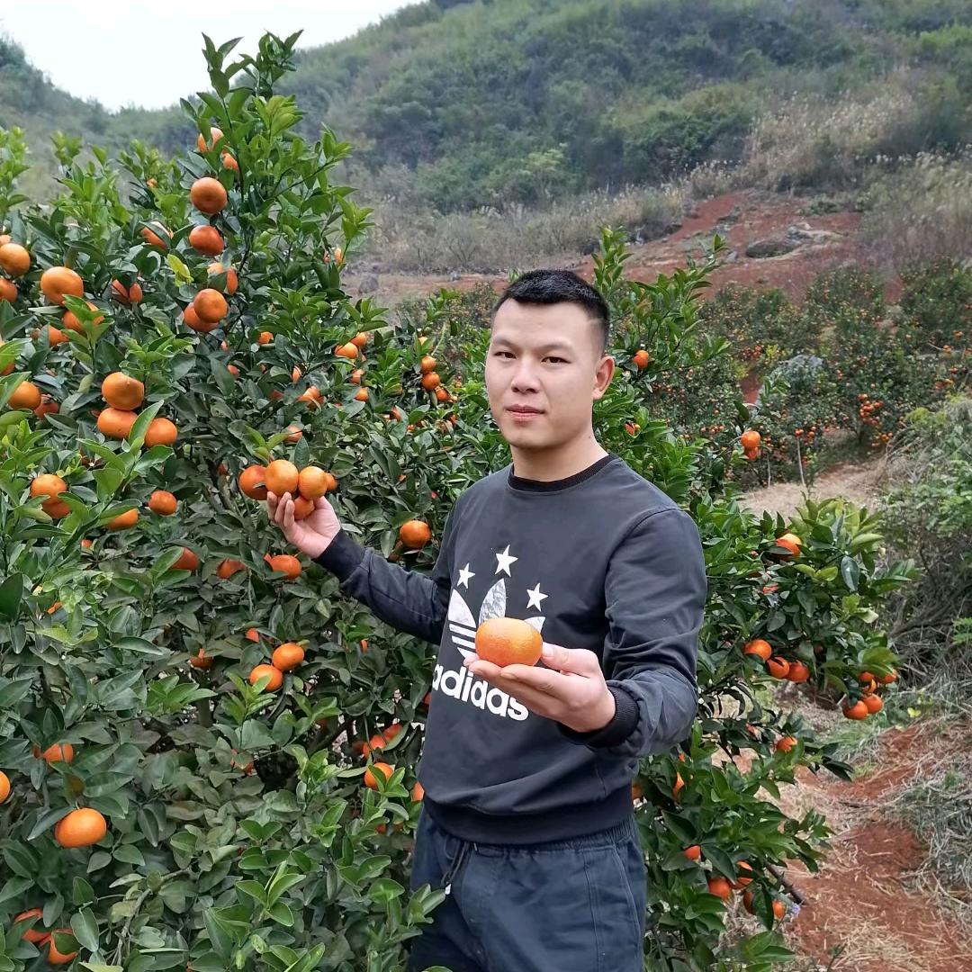小坤果园