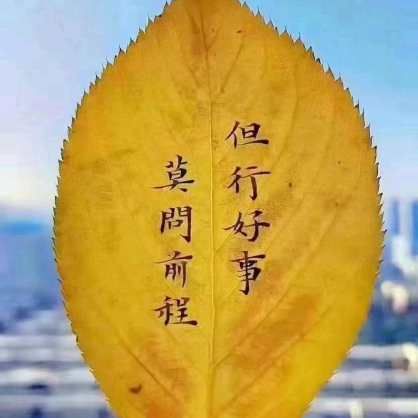 星缘