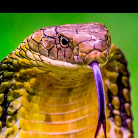 A安平《金方盛门业》