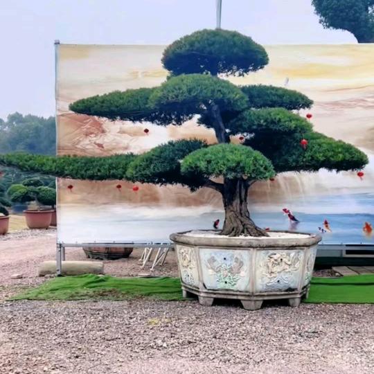 悠闲