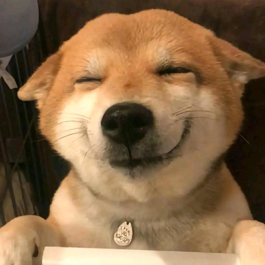 狗剩子🐶