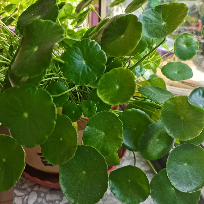 世界赠予我温暖和美好🌺