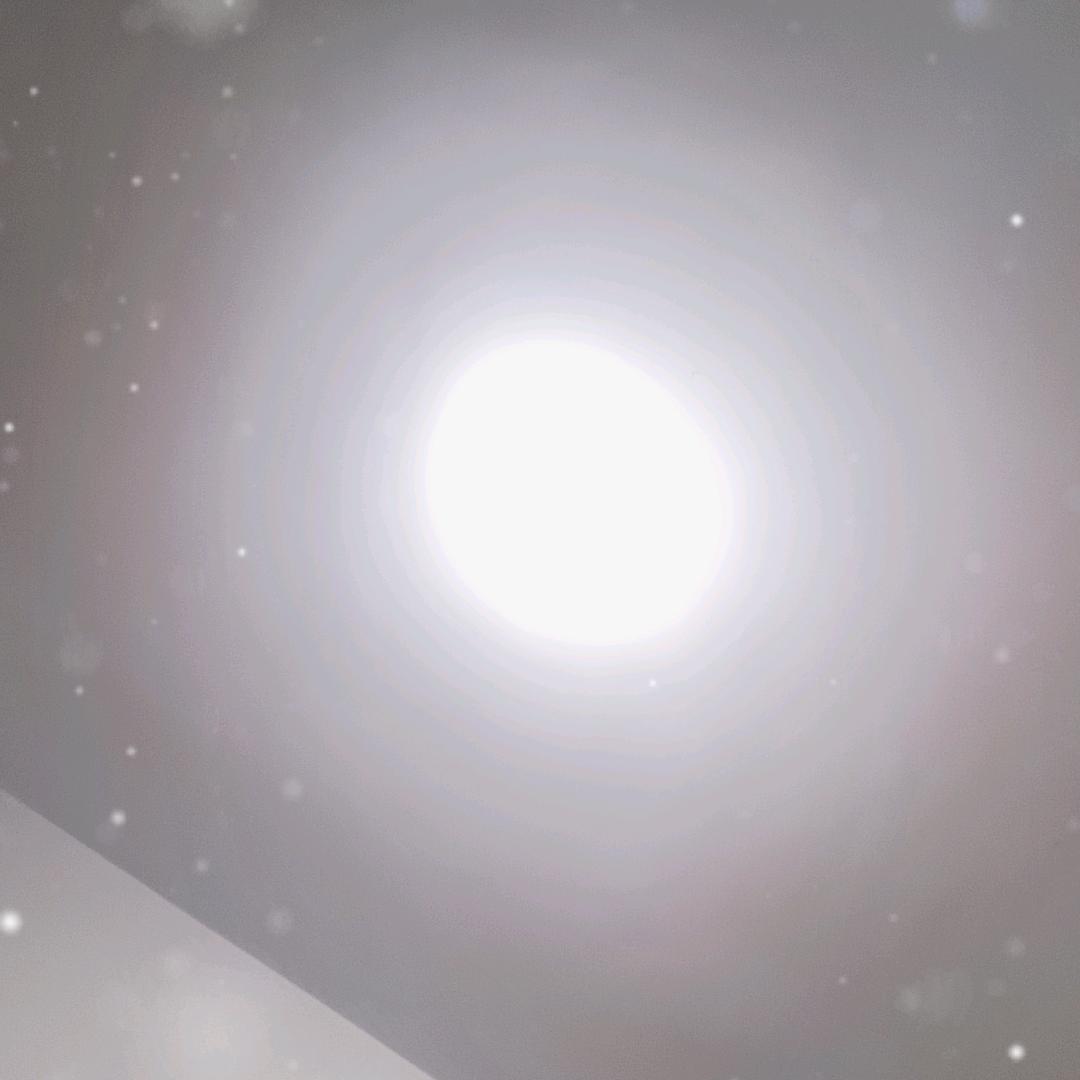 拼搏
