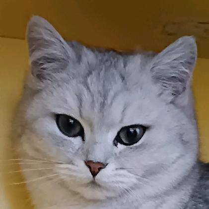 家装专业装修