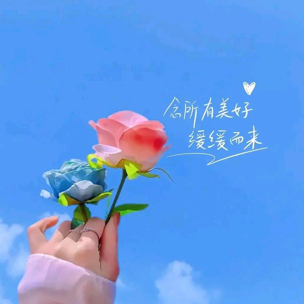 相惜@不离
