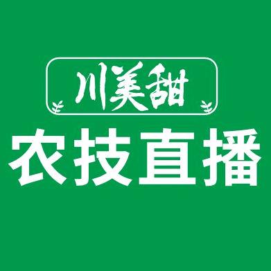 川美甜