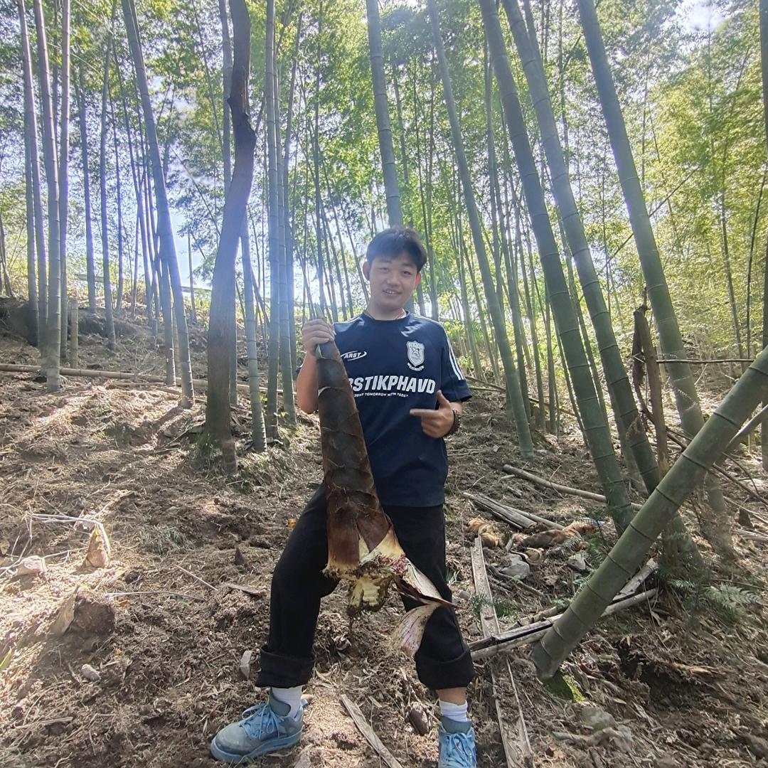 泡泡糖
