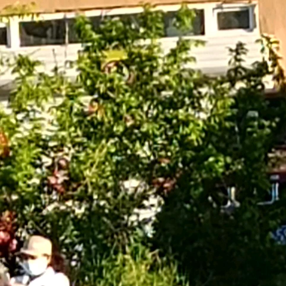 无所事事不是不是不