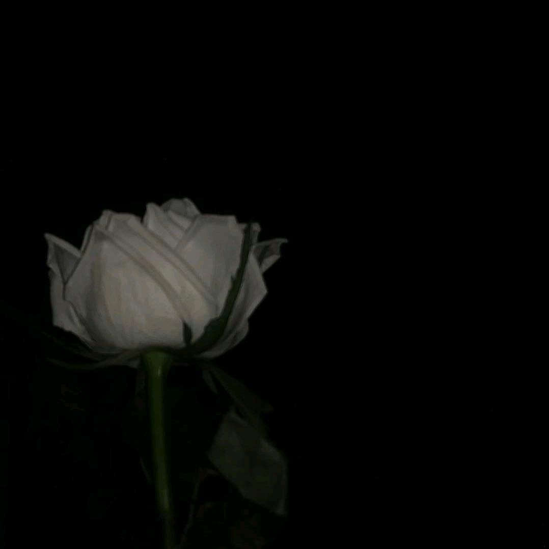 水枪滋尿滋谁谁叫