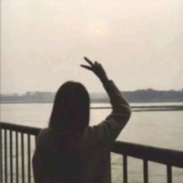 沉鱼落雁