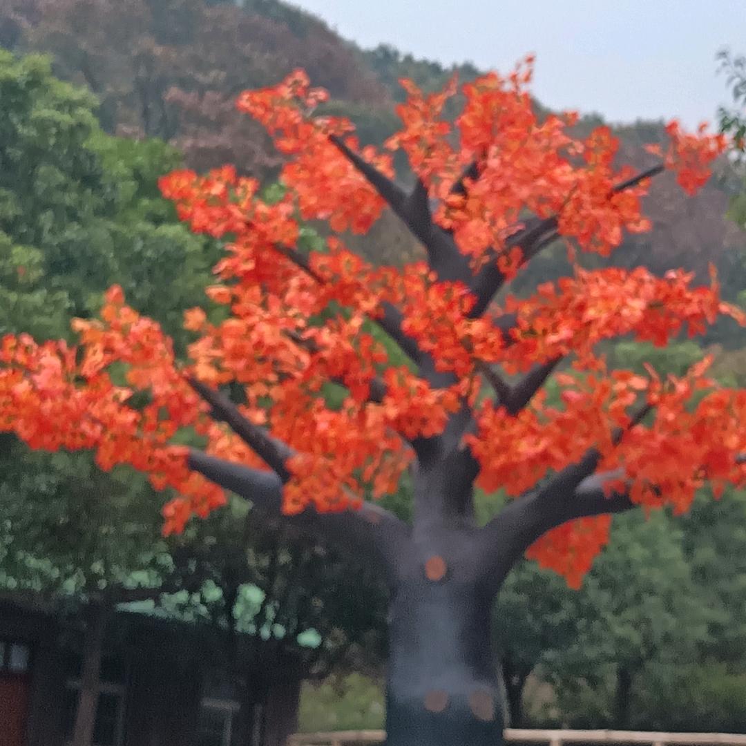 人生百味，慢慢品尝（拒绝合拍）