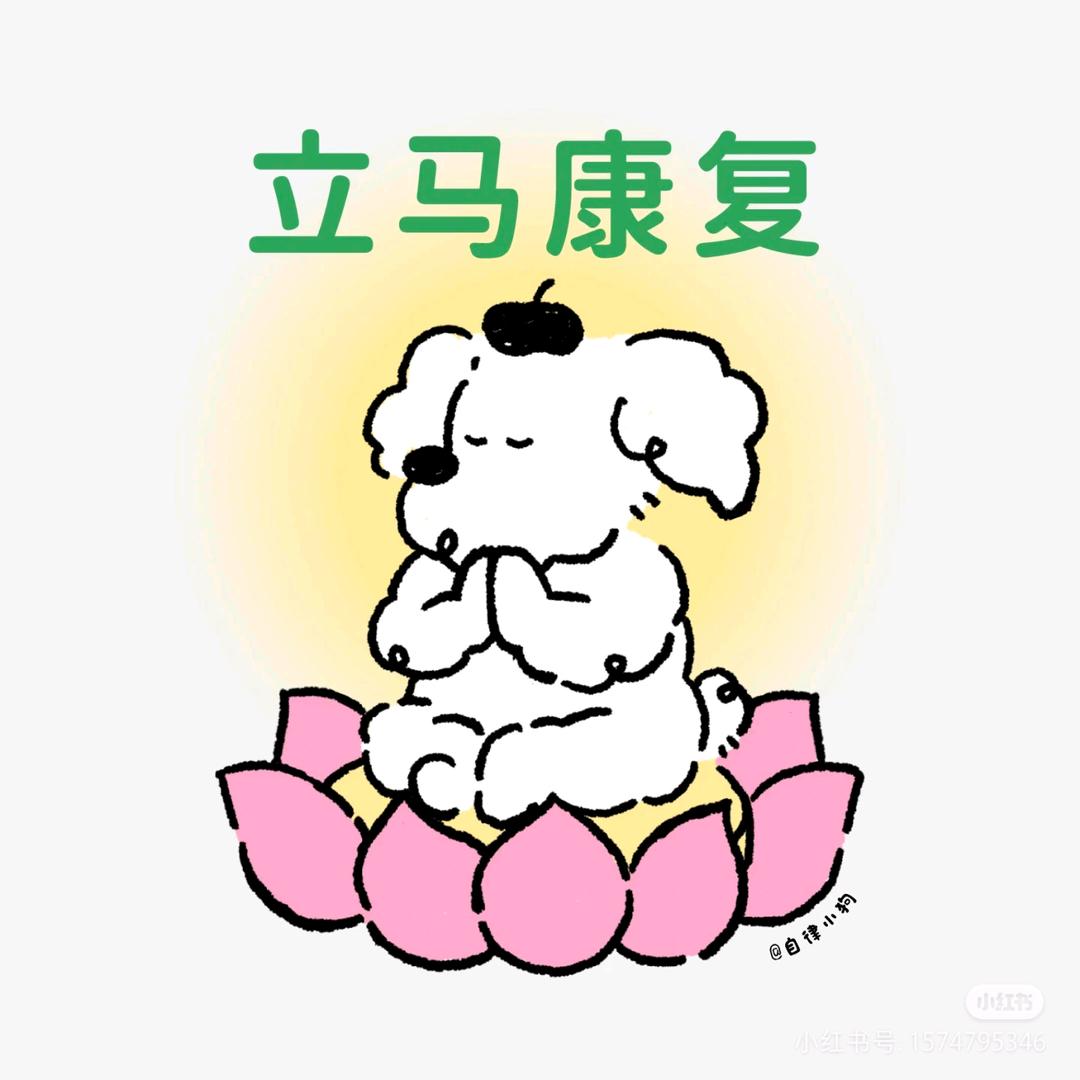 🌈一个打不刘