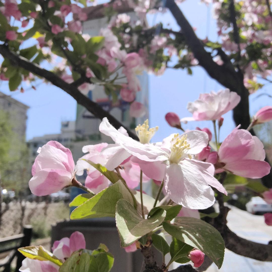 🧚🏻‍♀️一🌲路向☀️阳