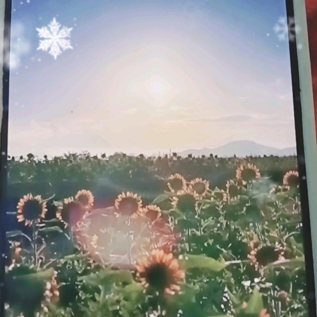 空树头