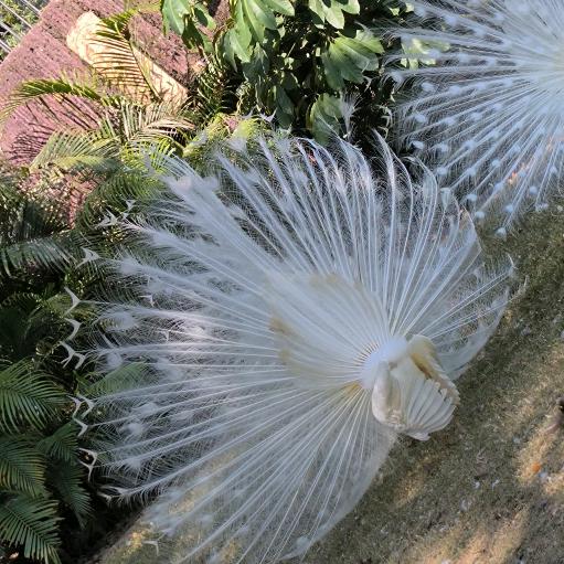 ✨喜欢看帅哥✨