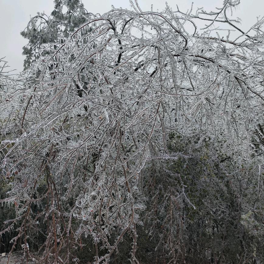 ￴￴ ￴￴￴ ￴￴ ￴冰