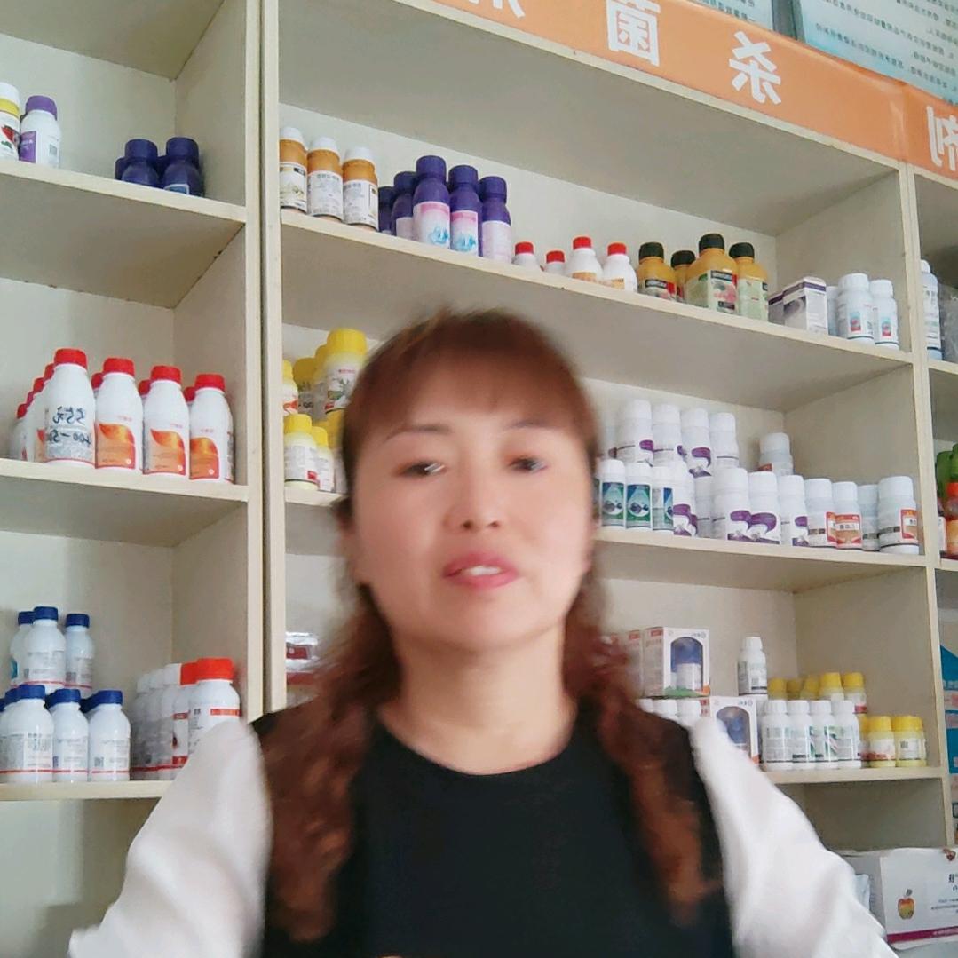 小坡农资王娟