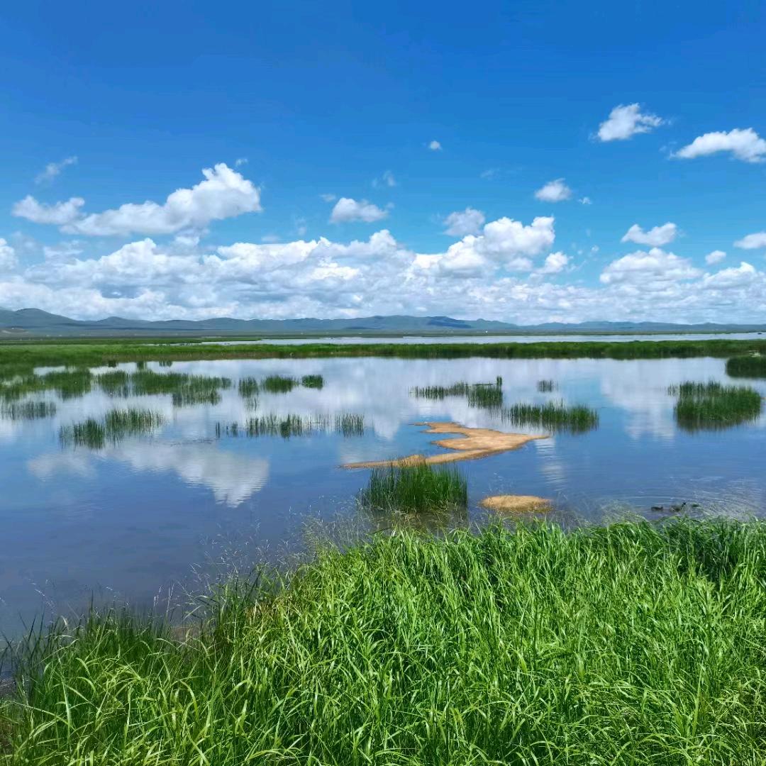 西北旅游司导妥妥