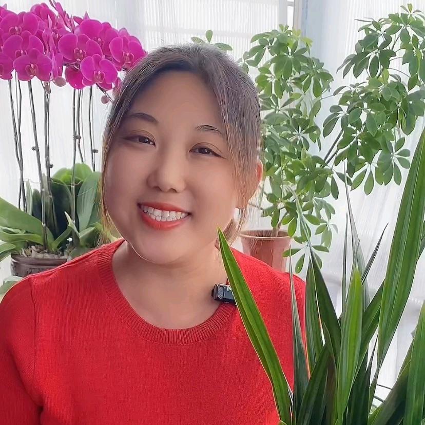 梁梁的春华秋实