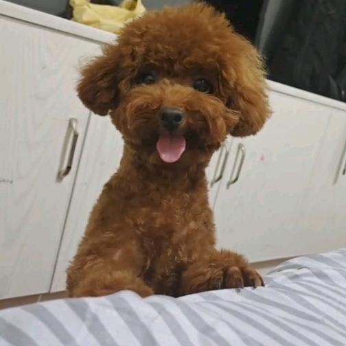 人这一生必须要有个女儿