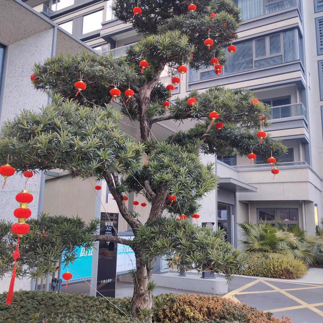 幸福永相伴