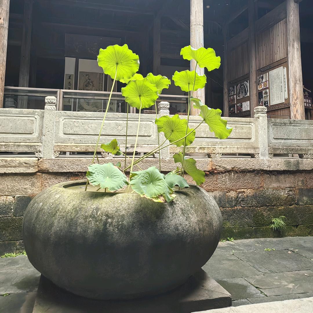 简约