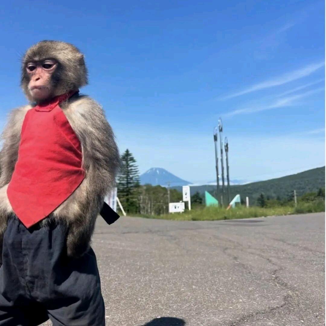 钱难挣粑粑难吃