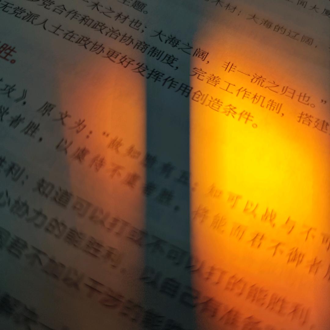 油菜先生