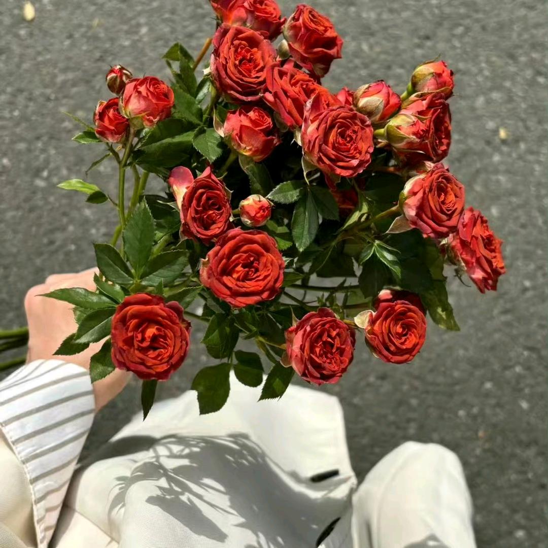 赛尔娜孜女装店