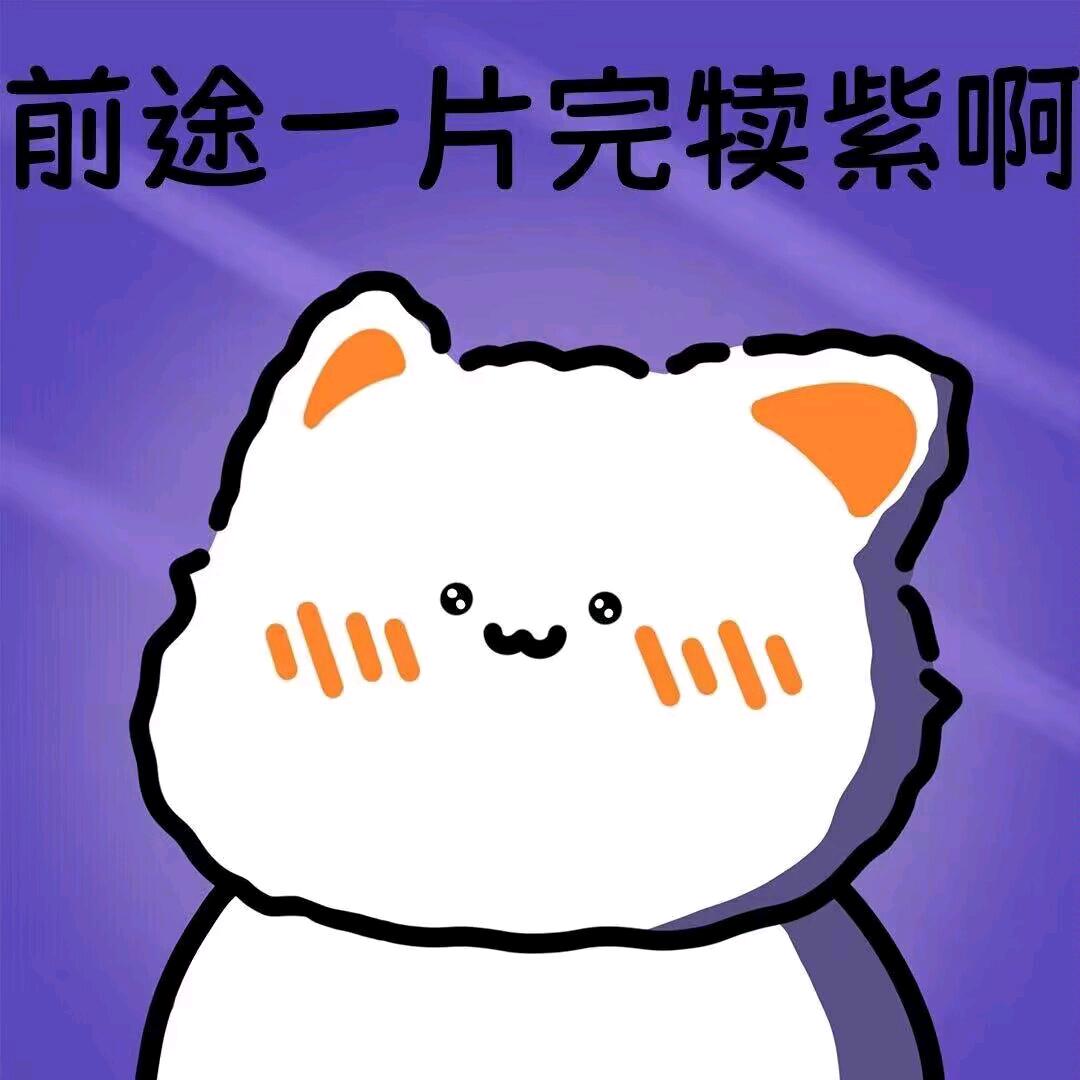 让小白眯一会